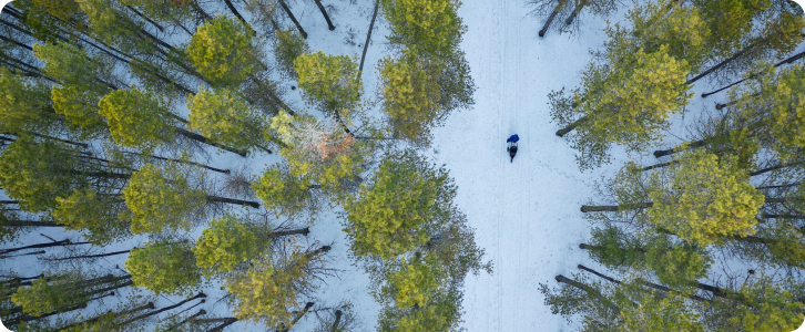 Biodiversity & Ecosystem Recovery